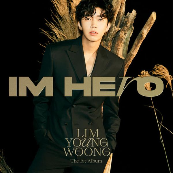 If We Ever Meet Again by Lim Young Woong