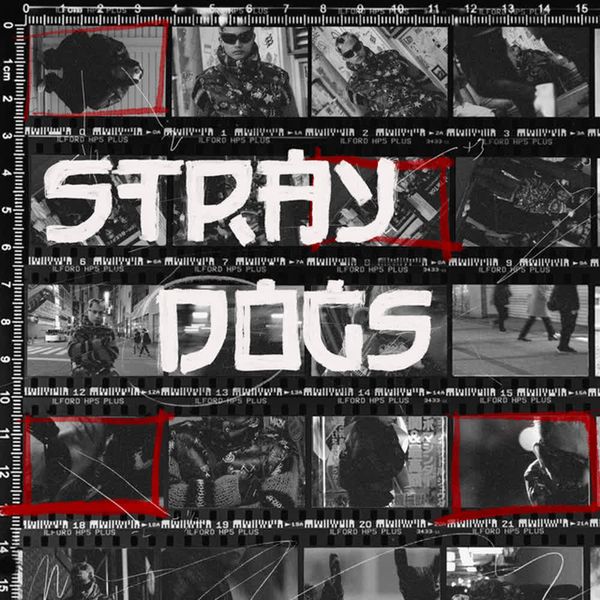 STRAYDOGS by Felip
