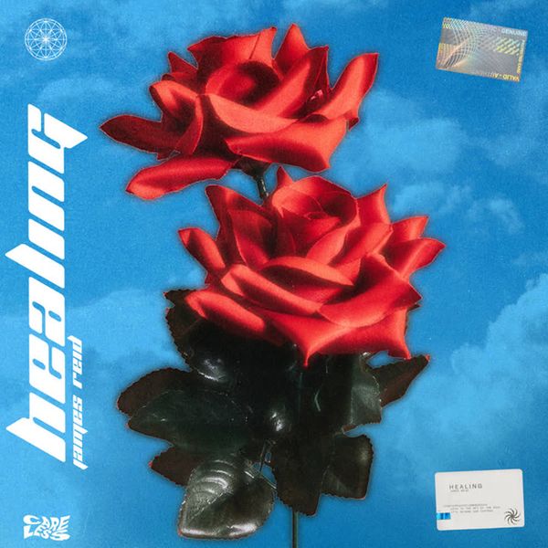 Healing by James Reid