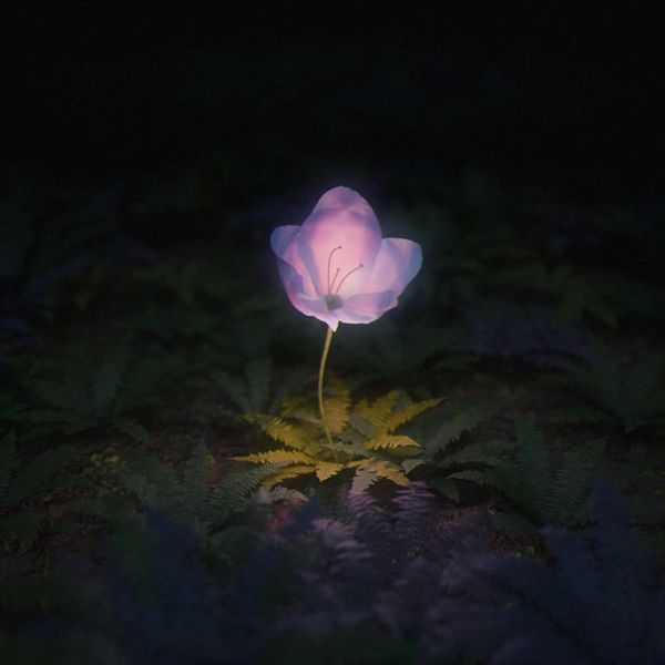 月見想 by Aile The Shota