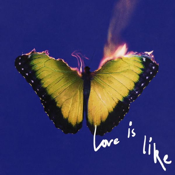 Love Is Like (feat. Lil Wayne) by Lil Wayne